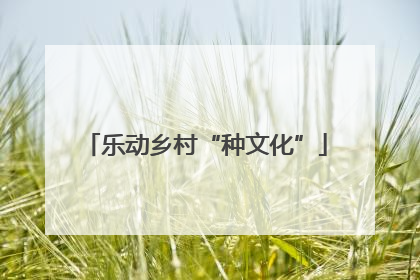 乐动乡村“种文化”