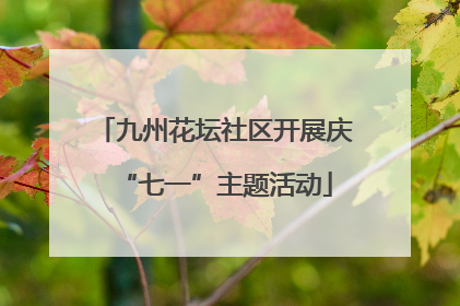 九州花坛社区开展庆“七一”主题活动