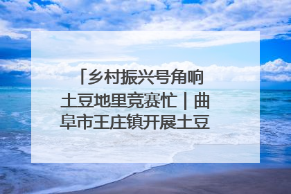 乡村振兴号角响 土豆地里竞赛忙｜曲阜市王庄镇开展土豆收获劳动竞赛