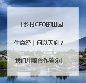 乡村CEO的田园生意经｜何以天府？我们用粮食作答④
