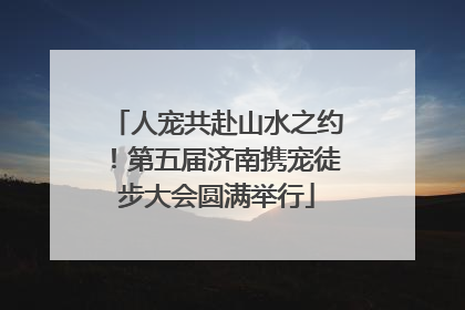 人宠共赴山水之约！第五届济南携宠徒步大会圆满举行