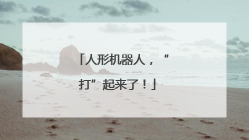人形机器人，“打”起来了！