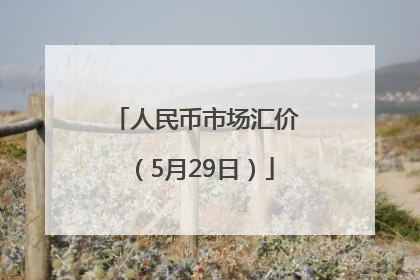 人民币市场汇价（5月29日）
