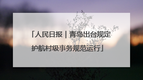 人民日报｜青岛出台规定护航村级事务规范运行