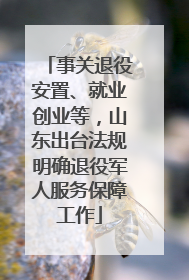 事关退役安置、就业创业等，山东出台法规明确退役军人服务保障工作