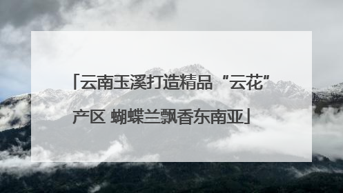 云南玉溪打造精品“云花”产区 蝴蝶兰飘香东南亚
