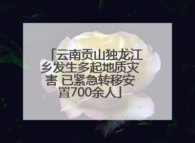 云南贡山独龙江乡发生多起地质灾害 已紧急转移安置700余人