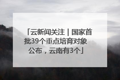 云新闻关注｜国家首批39个重点培育对象公布，云南有3个