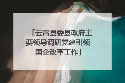云霄县委县政府主要领导调研党建引领国企改革工作