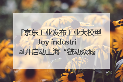 京东工业发布工业大模型Joy industrial并启动上海“链动众城 万亿降本”计划