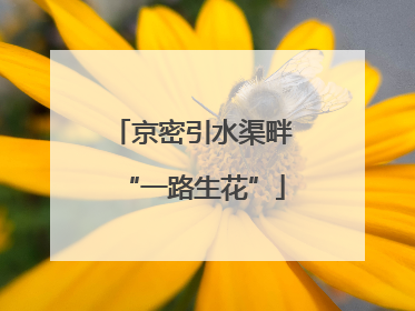 京密引水渠畔“一路生花”