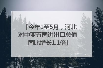 今年1至5月，河北对中亚五国进出口总值同比增长1.1倍