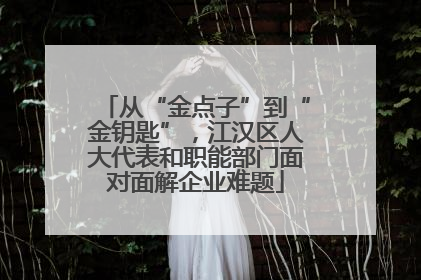 从“金点子”到“金钥匙”，江汉区人大代表和职能部门面对面解企业难题