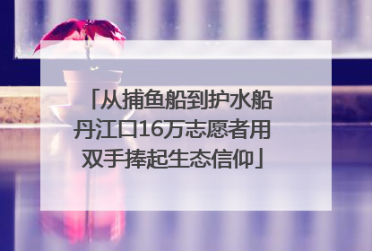 从捕鱼船到护水船 丹江口16万志愿者用双手捧起生态信仰