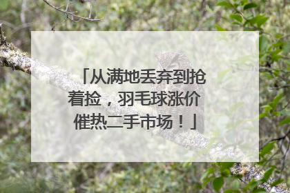 从满地丢弃到抢着捡，羽毛球涨价催热二手市场！