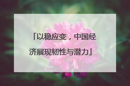 以稳应变，中国经济展现韧性与潜力