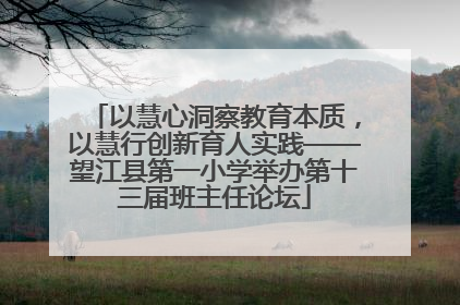 以慧心洞察教育本质，以慧行创新育人实践——望江县第一小学举办第十三届班主任论坛