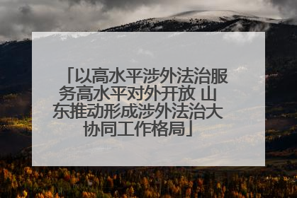 以高水平涉外法治服务高水平对外开放 山东推动形成涉外法治大协同工作格局