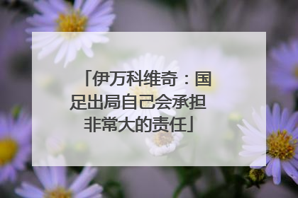 伊万科维奇：国足出局自己会承担非常大的责任