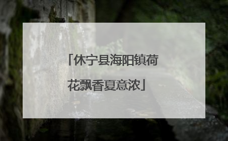休宁县海阳镇荷花飘香夏意浓