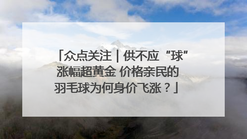 众点关注｜供不应“球” 涨幅超黄金 价格亲民的羽毛球为何身价飞涨？