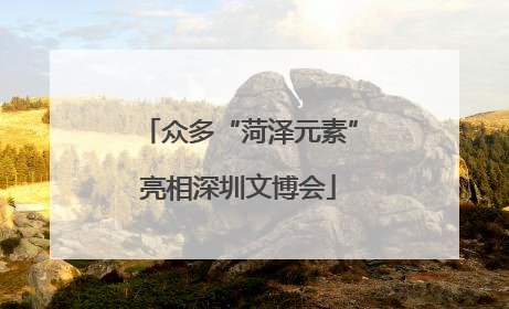 众多“菏泽元素”亮相深圳文博会