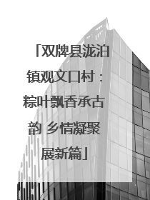 双牌县泷泊镇观文口村：粽叶飘香承古韵 乡情凝聚展新篇