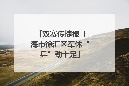 双赛传捷报 上海市徐汇区军休“乒”劲十足