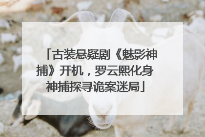 古装悬疑剧《魅影神捕》开机，罗云熙化身神捕探寻诡案迷局