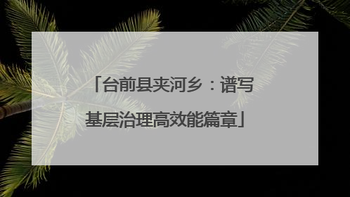 台前县夹河乡：谱写基层治理高效能篇章