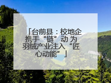 台前县：校地企携手“链”动 为羽绒产业注入“匠心动能”