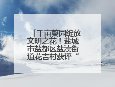 千亩葵园绽放文明之花！盐城市盐都区盐渎街道花吉村获评“全国文明村”