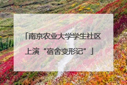南京农业大学学生社区上演“宿舍变形记”