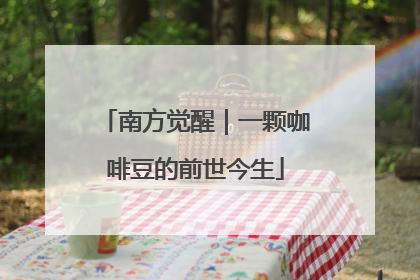 南方觉醒｜一颗咖啡豆的前世今生