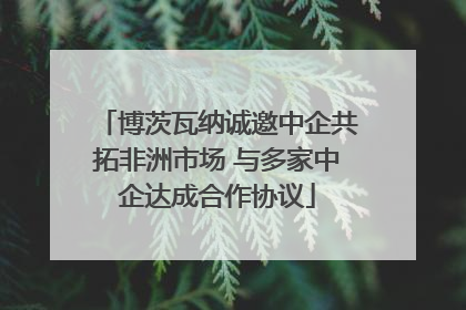 博茨瓦纳诚邀中企共拓非洲市场 与多家中企达成合作协议