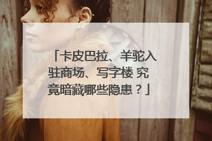 卡皮巴拉、羊驼入驻商场、写字楼 究竟暗藏哪些隐患？