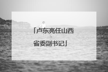 卢东亮任山西省委副书记