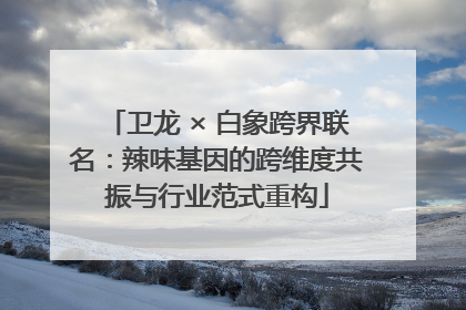卫龙 × 白象跨界联名：辣味基因的跨维度共振与行业范式重构
