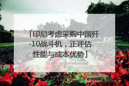 印尼考虑采购中国歼-10战斗机，正评估性能与成本优势