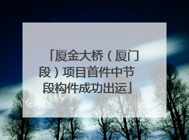 厦金大桥（厦门段）项目首件中节段构件成功出运