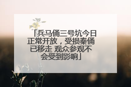 兵马俑三号坑今日正常开放，受损秦俑已移走 观众参观不会受到影响