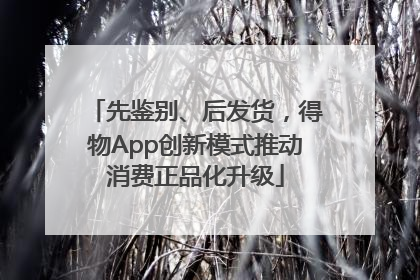 先鉴别、后发货，得物App创新模式推动消费正品化升级