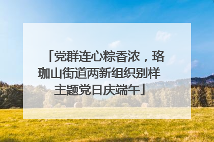 党群连心粽香浓，珞珈山街道两新组织别样主题党日庆端午