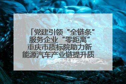 党建引领“全链条” 服务企业“零距离” 重庆市质标院助力新能源汽车产业链提升质量管理水平