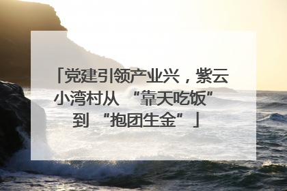党建引领产业兴，紫云小湾村从 “靠天吃饭” 到 “抱团生金”