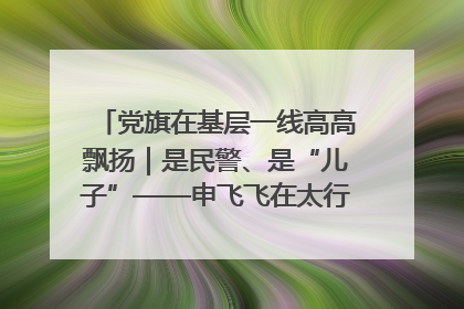 党旗在基层一线高高飘扬｜是民警、是“儿子”——申飞飞在太行山中的一线坚守