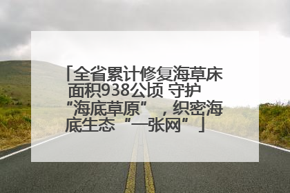 全省累计修复海草床面积938公顷 守护“海底草原”，织密海底生态“一张网”