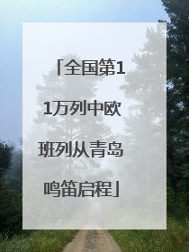 全国第11万列中欧班列从青岛鸣笛启程