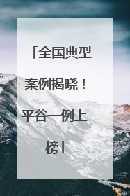 全国典型案例揭晓！平谷一例上榜