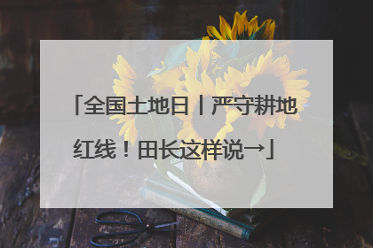 全国土地日丨严守耕地红线！田长这样说→